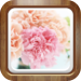 Flowers Wallpapers HD Retina background