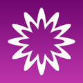 MathStudio 6
